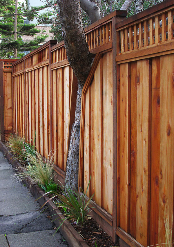 Nice Fence